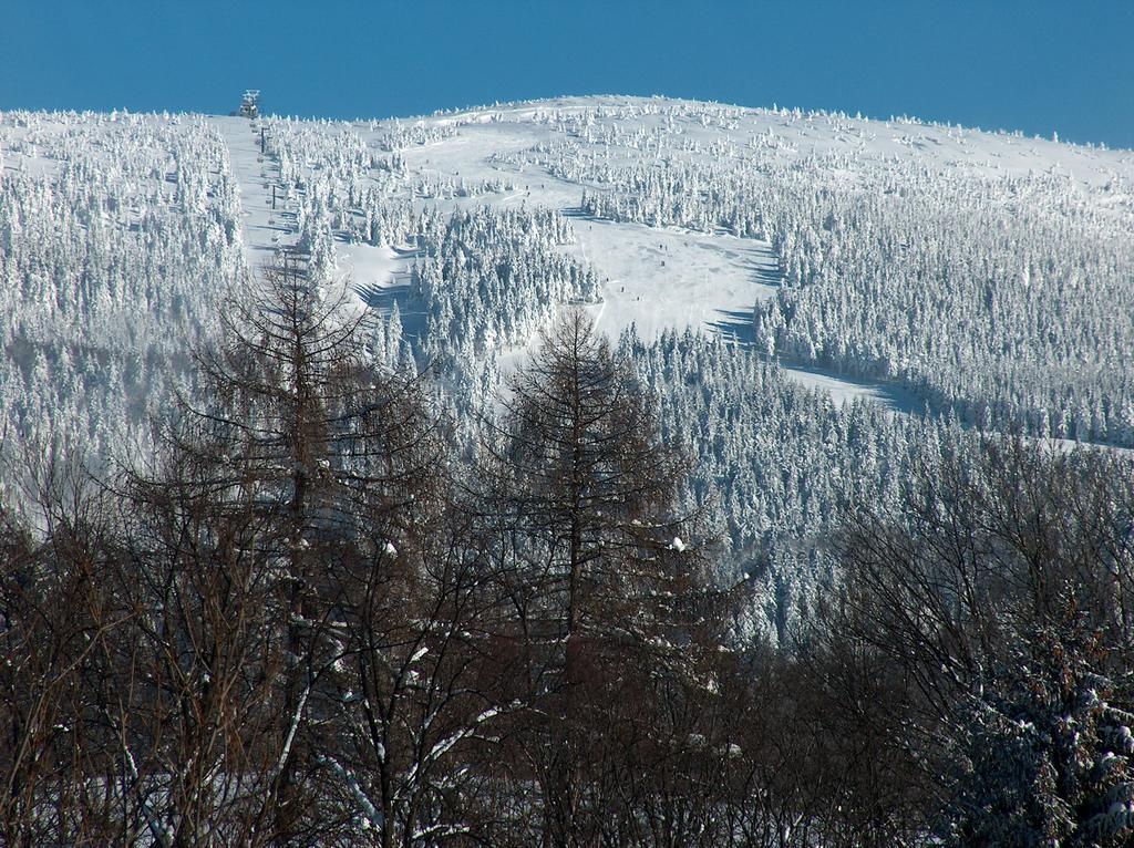Helena Rokytnice nad Jizerou